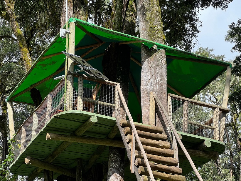 Launching-the-Ragati-Forest-Mountain-Bongo-Security-Site