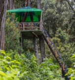 Ragati-bongo-release-site-viewing-platform