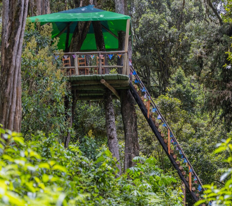 Ragati-bongo-release-site-viewing-platform