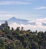 Guardians-of-the-Mountain - Robin Around Kenya