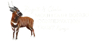 Mountain_Bongo_Conservation_Trust_Final_2