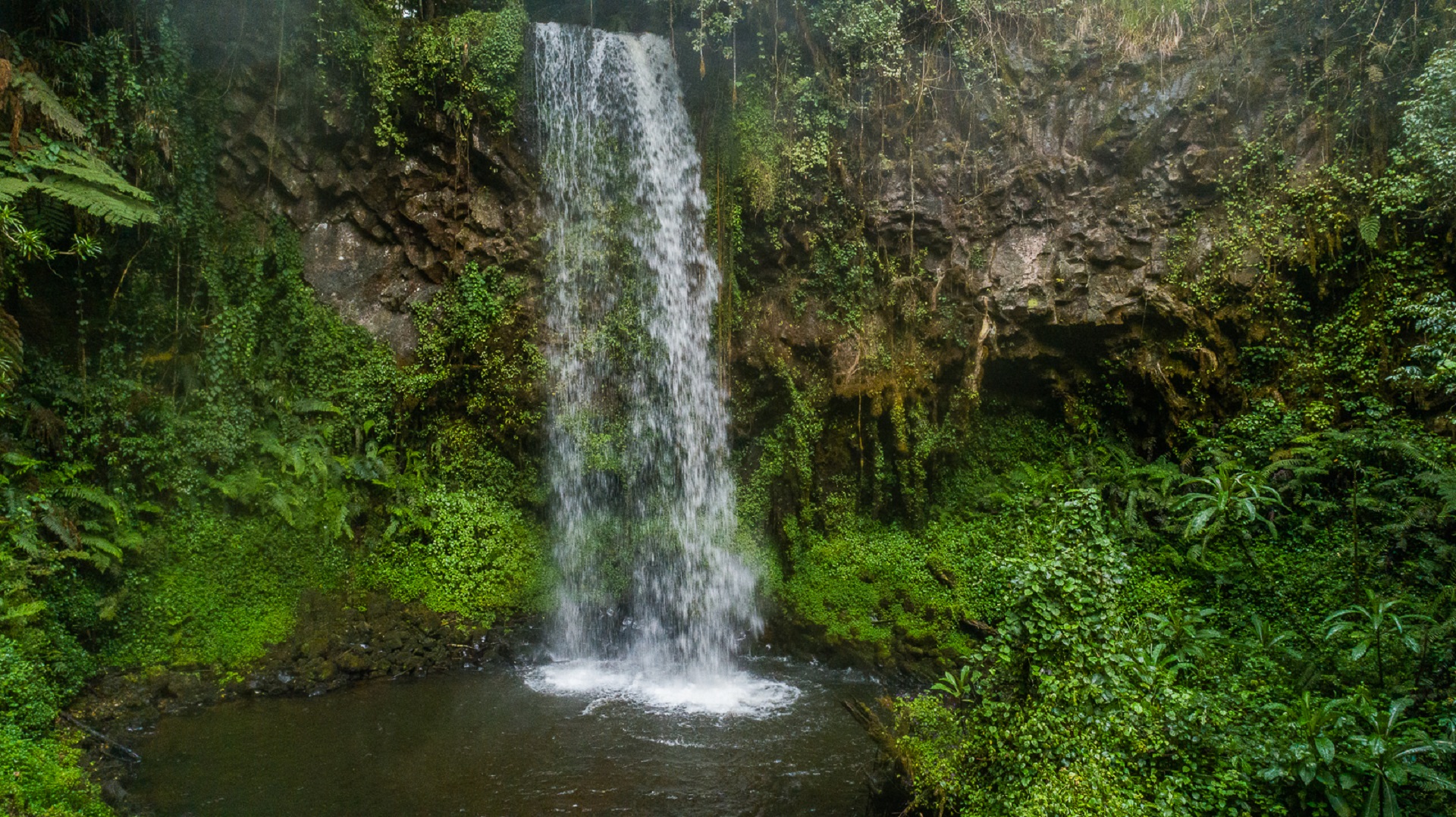 ragati-chehe-bongo-conservation-trust - get-in-touch