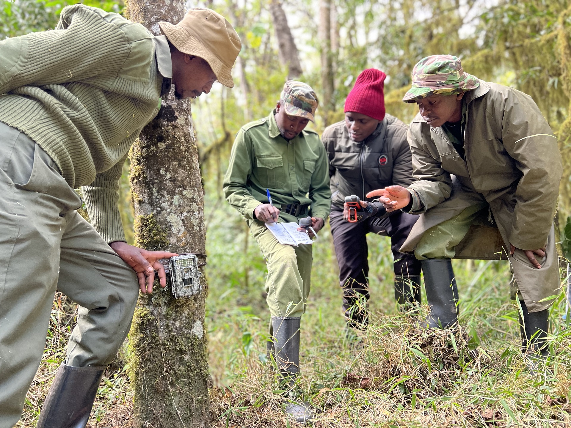 Mountain bongo camera trap team posing