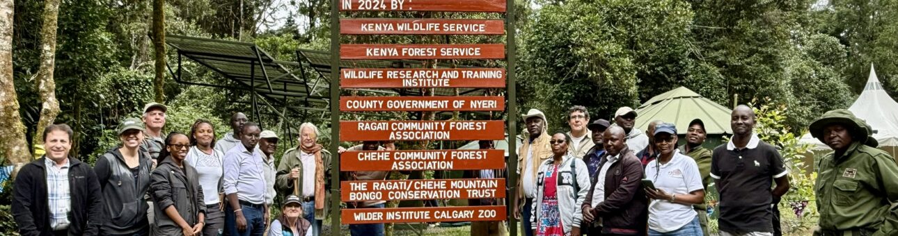 ragati-chehe-mountain-bongo-conservation-trust-meeting