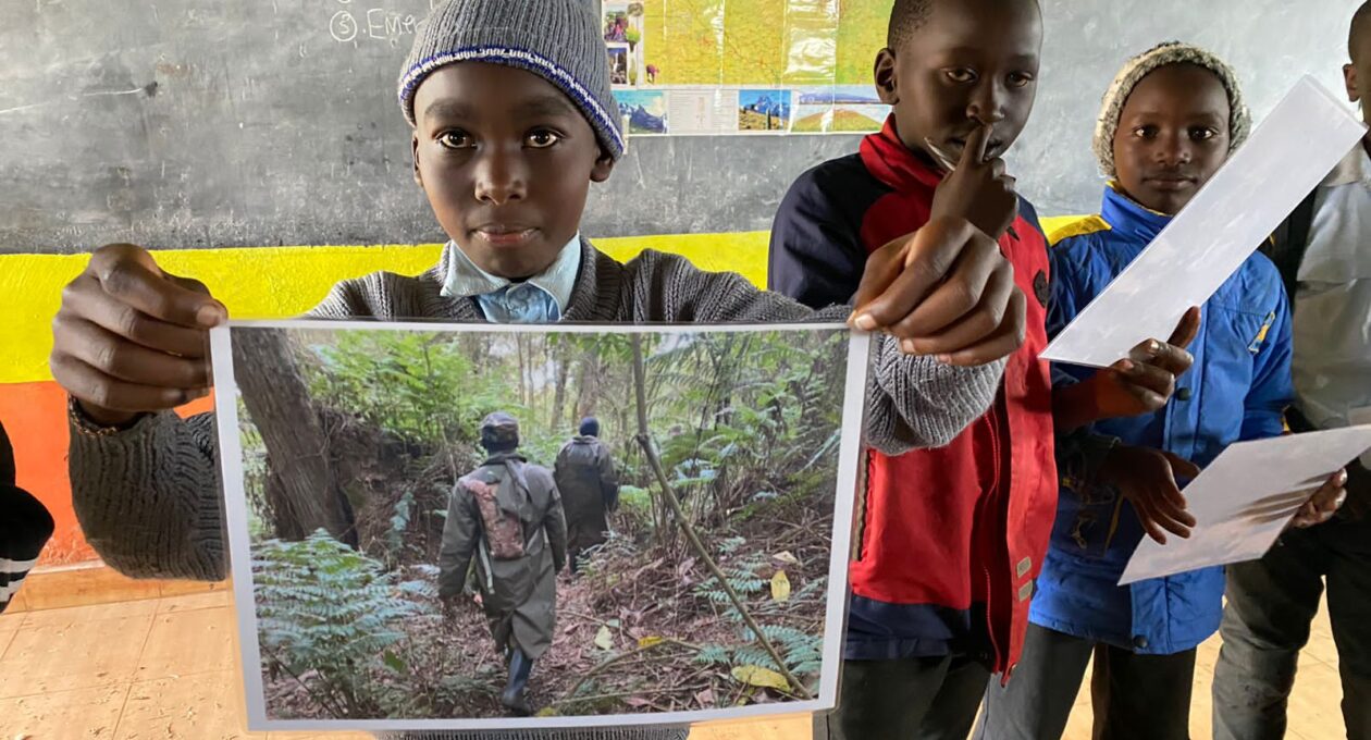 mountain-bongo-conservation-education