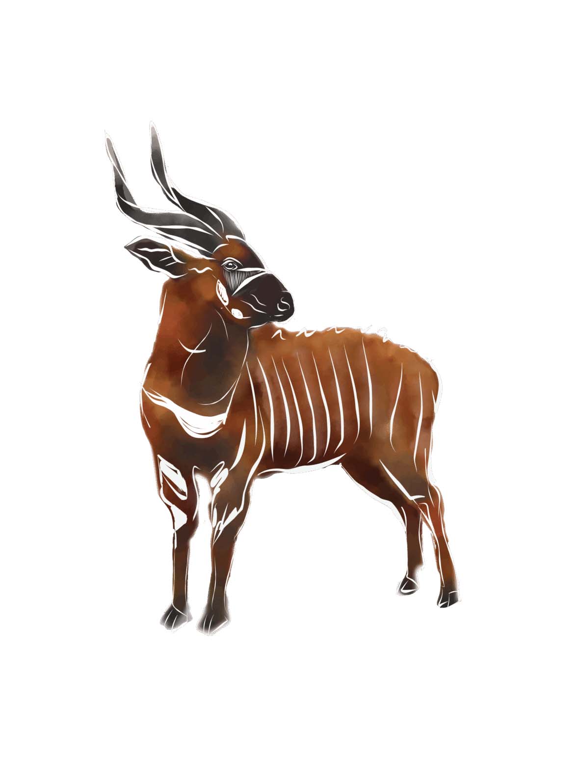 Ragati & Chehe Mountain Bongo Trust Kenya