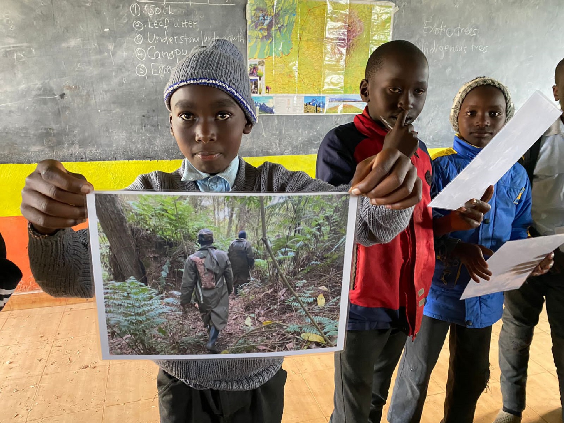 mountain bongo nature clubs