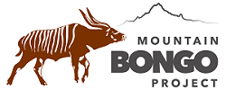mountain-boongo-project - logo